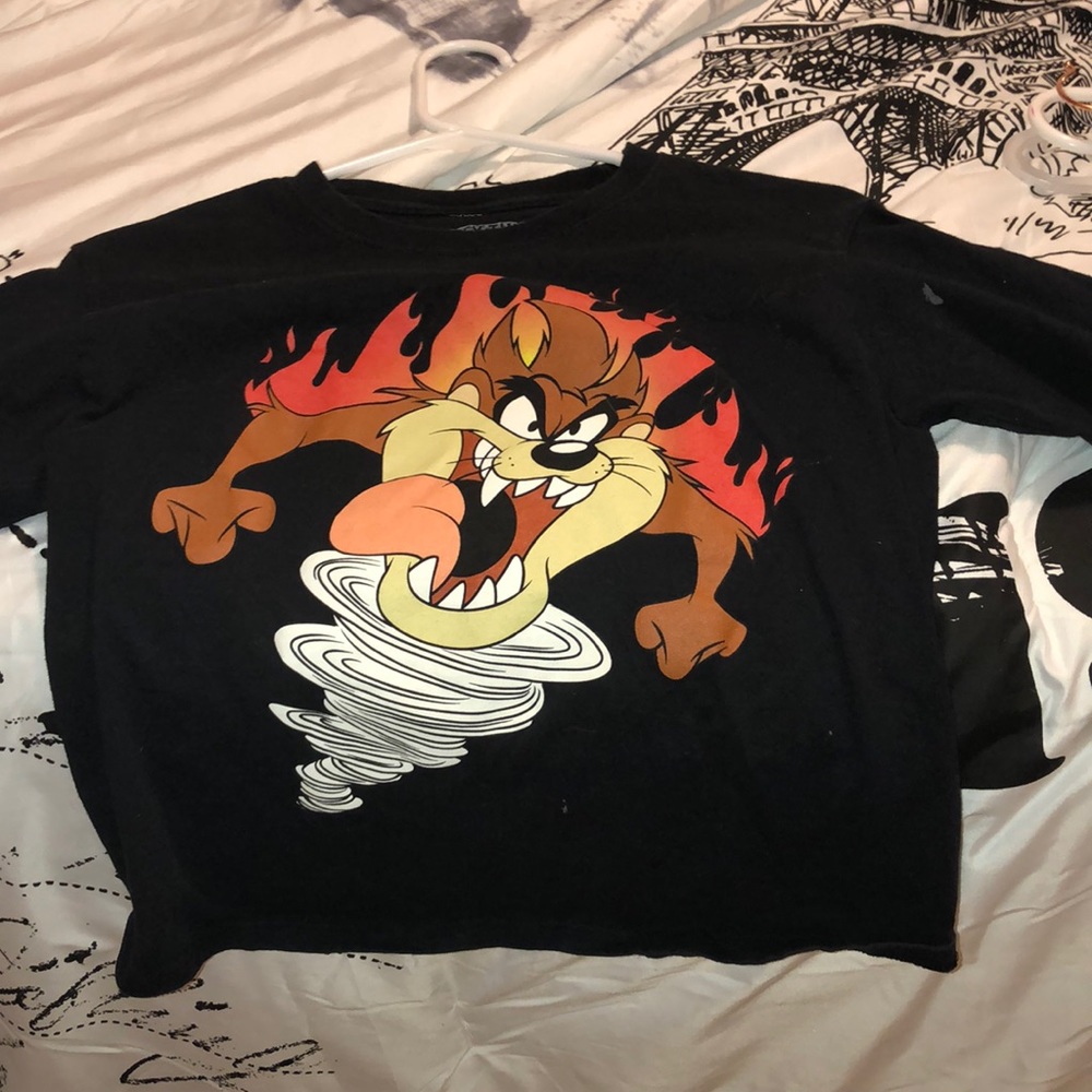 long sleeve cropped tee